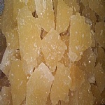 نبات تخت سفيد زر گل